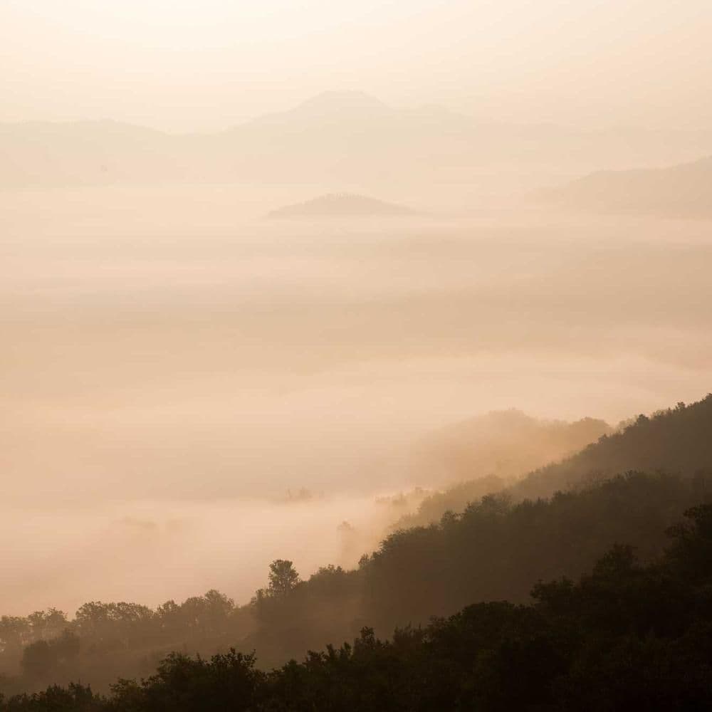 Evening Descent: Why Riding Down After Dark Reveals a Different Hong Kong